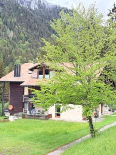 Bijou verzaubert den Urlaub - 8