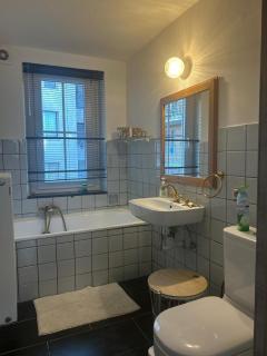 Cozy Apart in Antwerp - 3