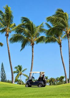 Private Pool Villa Beach & Golf Access Punta Cana - 7