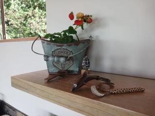 Tidal Retreat Selfcatering - 2