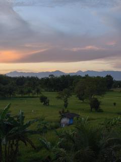 PaddyPalms Huts Trekking & Beyond - 5