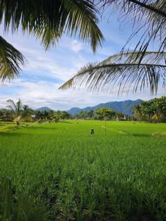 PaddyPalms Huts Trekking & Beyond - 7
