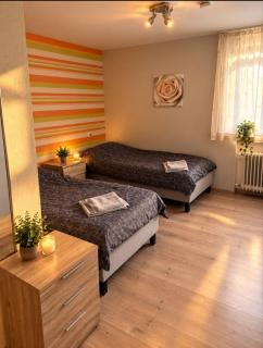 3 Zimmer-Apartment in Schotten Vogelsbergkreis - 4