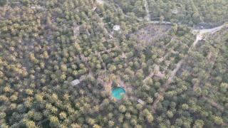 Camping Ecological Coco Oasis with natural Pool - 0
