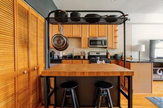 2BR Near Obama Presidential Ctr and UofC Med Ctr - 1