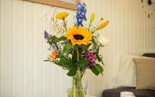 Apartment Torenhoeve 1 - 1
