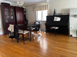 Lovely Large Room in Little Portugal Casa - 1