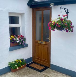 Ceol na Coille Traditional Cottage Kilmihil - 9