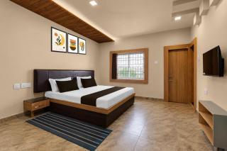 Hotel O M8 Guest house - 6