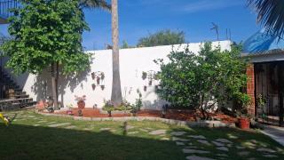 La capillita - 6