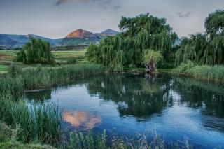 De Molen Farm - Clarens - 0