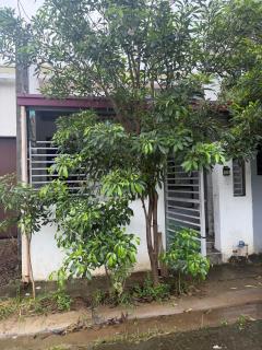 Luis Dthird House - 7