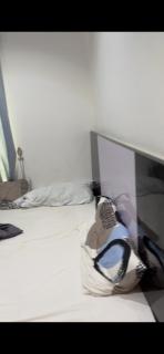 Damis homes - 0