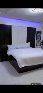 Damis homes - 7