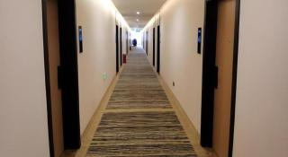 Green Tree Inn Express Xingtai Guangzong Development Zone Xingqing Road - 1