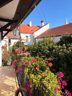 Weingut Alois Gabriel Wind - 3