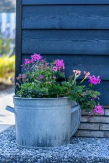 Bed & Breakfast Ons Plekje - 5