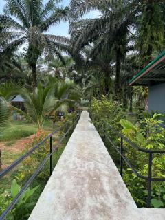 KhaoSok Mountain Palms Lodge - 7