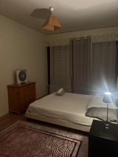 Appartement avec Terrasse & Parking Privé - Centre Thonon - 3