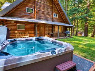 Log Cabin at Rainier Lodge (0.4 miles from entrance) - 5