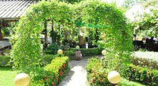 Pattharapuri Valley Resort - 3