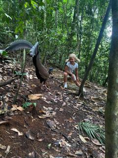 Tiga dara guest house & jungle trekking bukit Lawang - 4