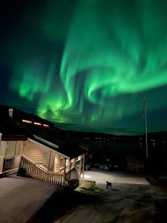 Aurora Sea Lodges - 5
