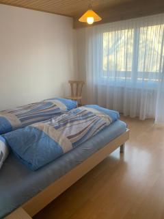 Haus Panorama Wohnung Bietschhorn - 1