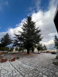 Igea Domus - 1