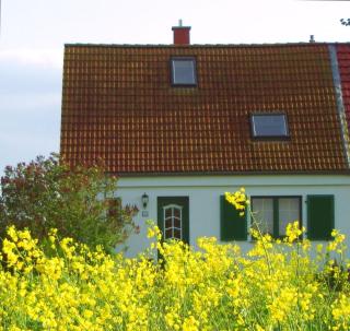 Ferienhaus Luise - Lüdershagen - 0