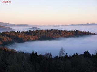Holiday apartments in Freyung with sauna & swimming pool - 5