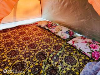 Sinharaja Eco Camp - 7