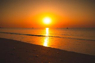allsun Hotel Calypso Beach - 6
