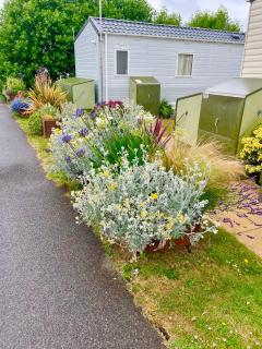 Rosie's Garden Lodge At Seaview - 3