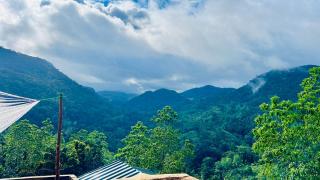 Sinharaja Eco Camp - 9