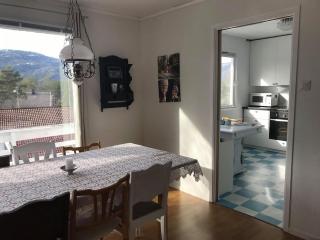 Detached house near Byglandsfjord in Setesdalen - 7