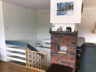 Detached house near Byglandsfjord in Setesdalen - 3