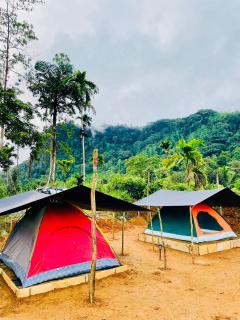 Sinharaja Eco Camp - 8