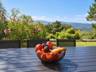 Villa provençale 4 chambres avec piscine, vue panoramique et pétanque - 1