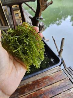 Big hug home-Baan Rim Klong - 7