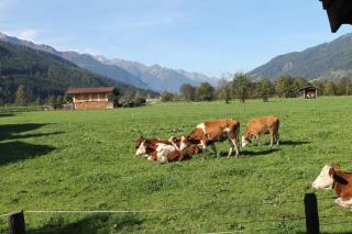 Ferienwohnung Smit mit Hohe Tauern sommercard - 3