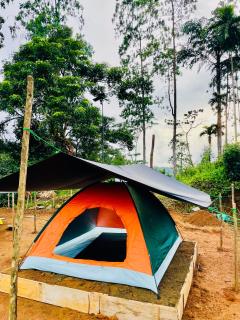 Sinharaja Eco Camp - 1
