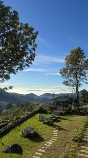 Thakur's Cottage - 2