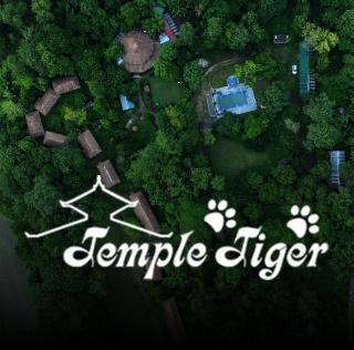 Temple Tiger Green Jungle Resort - 0