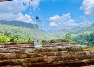 Sinharaja Eco Camp - 2