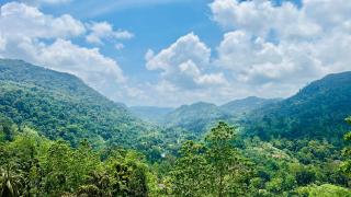Sinharaja Eco Camp - 5