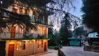 Lill Sparrow by Verdant escapes hospitality - 6