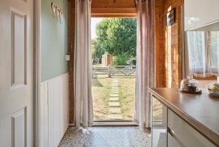Modern Cabin - 2