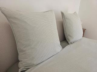Palais Josephine Apartment - 5 meters to Monaco and free parking - 3