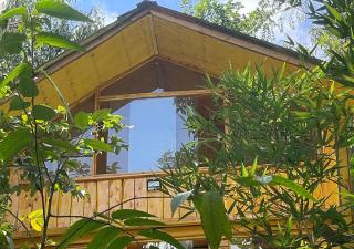 Mud and Wooden Cabin - 1